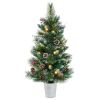 3 FT Battery-Operated Tabletop Holiday Decoration