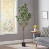 71 Inch Artificial Eucalyptus Tree for Home Decor