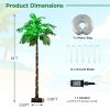 6 feet Hawaiian style artificial palm tree with LED lighting